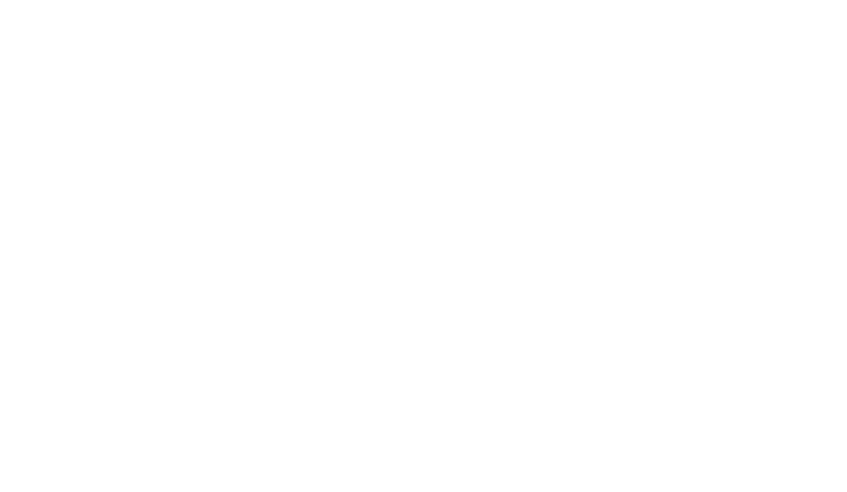 IAI Smart